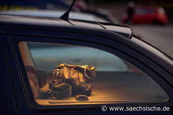Riesa: Handtasche aus Auto gestohlen - Sächsische.de