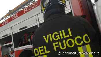 Tragedia a Castagnaro: finisce con la macchina nel fosso pieno d'acqua, morto sul posto - Prima Verona