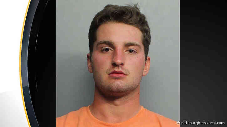Ohio Man Arrested In Florida, Accused Of Groping And Punching Flight Attendants
