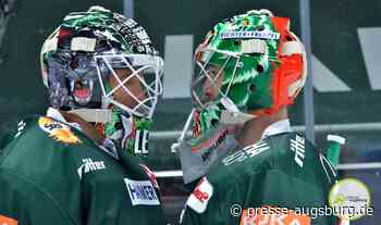 Die Augsburger Panther sind zurück - Fans können zum Trainingsauftakt kommen | Presse Augsburg - Presse Augsburg
