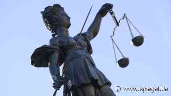 4000 Dateien: Ex-Richter wegen Besitzes von Kinderpornografie zu Geldstrafe verurteilt - DER SPIEGEL