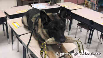 Robinson Township Police’s First K-9 Celebrates Final Shift
