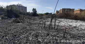 Doppio incendio: Ardea in fiamme. Brucia tutto, paura sul litorale - Il Tempo