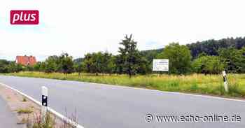 Trebur: Es werden neue Gutachten für Ortsumgehung gebraucht - Echo Online