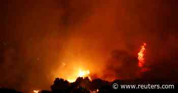 Forest fire closes in on Turkish power station - Reuters