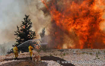Massive forest fire near Jerusalem drives residents from homes - The Times of Israel
