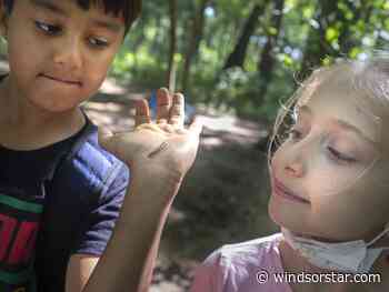 Forest and nature school promotes connection to environment - Windsor Star