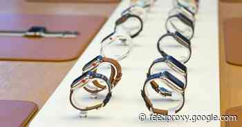 Best Apple Watch bands for 2021     - CNET