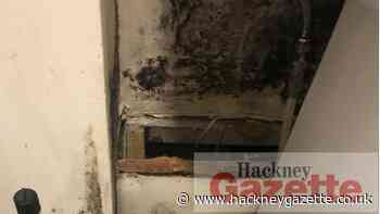 Stoke Newington family left to live in mould-infested home - Hackney Gazette