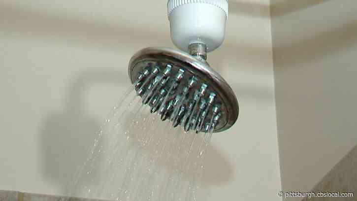 Shower Standards: How Often Should People Shower In Order To Keep Themselves Clean?