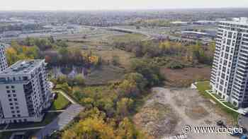 Laval investigates after men wearing camouflage caught draining wetland