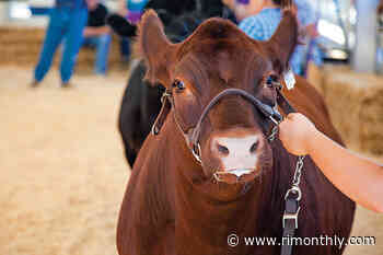 37 Things to Watch, Sip and Do in Rhode Island in August - Rhode Island Monthly