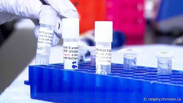 Provinces begin to unveil pandemic policy changes, back-to-school plans