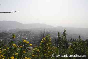 Pollution de l'air: le Conseil d'Etat condamne l'Etat à payer 10 millions d'euros