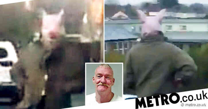 ‘Pig man’ who walked around in mask scaring kids banned from wearing fancy dress