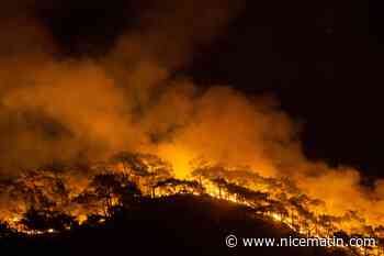 Incendies maîtrisés autour d'une centrale thermique menacée en Turquie