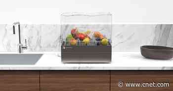 The Tetra countertop dishwasher could change the way you clean up dinner     - CNET
