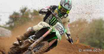 Plaaggeest Herlings moet in Lommel zelf opgeven met schouderblessure - Eindhovens Dagblad