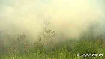 Parts of Saskatchewan under special air quality statement due to wildfire smoke