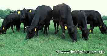 Benefits of rotational grazing