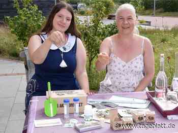 Für die Wissenschaft: Teebeutel erkunden Stader Erde - Stade - Tageblatt-online