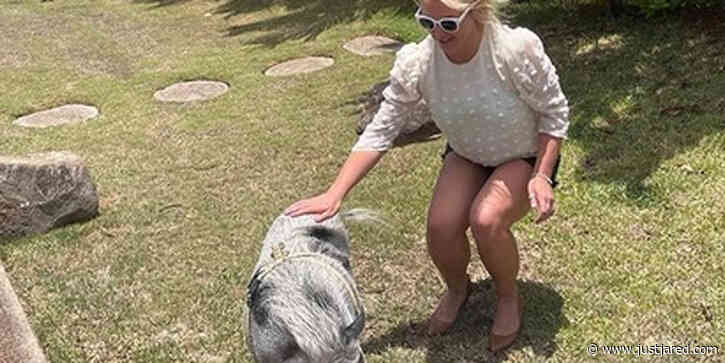 Britney Spears Meets a Pig, Reveals She Does Equine Therapy for Social Anxiety