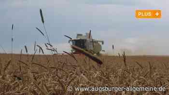 Zu nass für die Ernte: Landwirte im Wittelsbacher Land warten auf Sonne - Augsburger Allgemeine