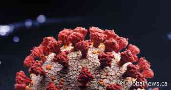 COVID-19: 1 new death as Saskatchewan adds 60 infections