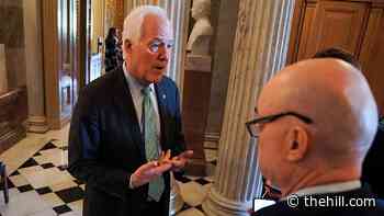 White House trying to beat back bipartisan Cornyn infrastructure amendment
