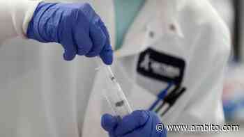 Misiones realizará testeo de variantes de coronavirus que preocupan a la OMS - ámbito.com
