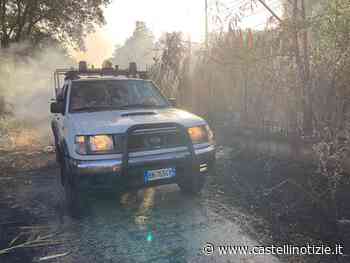 Lanuvio - Ancora incendi alla scarpata ferroviaria, treno fermo alla stazione - Castelli Notizie