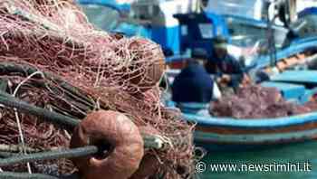 Da oggi fermo pesca ma il pesce nostrano c’è - News Rimini
