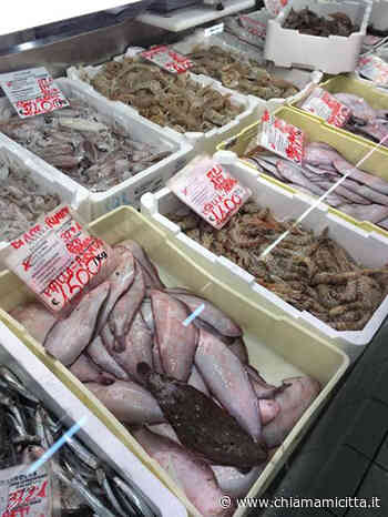 Fermo pesca, al mercato coperto si continua a vendere il pesce dell'Adriatico - ChiamamiCittà