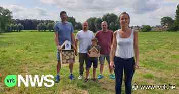 Protest tegen 140 nieuwe huizen in Zedelgem: "Wijk ligt in watergevoelig gebied" - VRT NWS