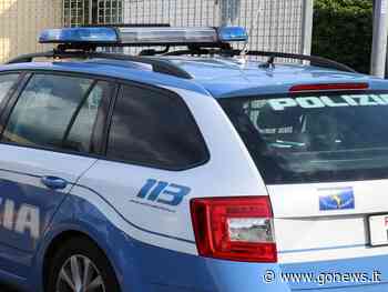 Sequestrate 900 uova a Prato: erano trasportate senza documento di provenienza - gonews.it - gonews