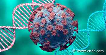 Delta plus: What we know about the latest coronavirus variant     - CNET