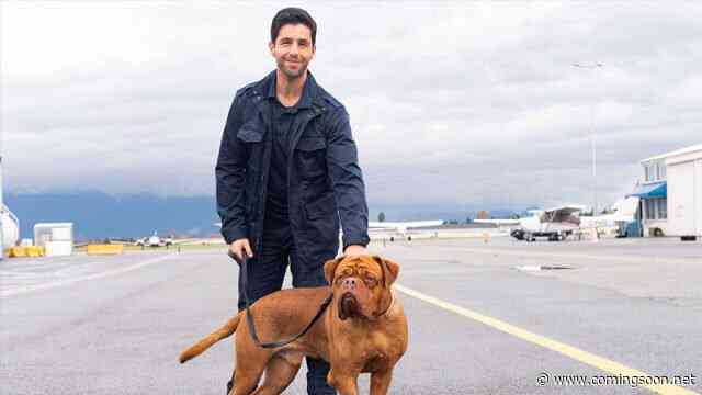 Interview: Turner and Hooch Composer Jeff Cardoni Discusses Disney+ Series