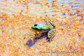 A simpler time? | Bancroft this Week - Bancroft This Week