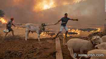 Brutal heatwave scorches southern Europe