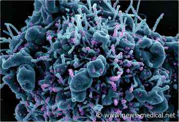 Monoclonal antibody could inform development of pan-coronavirus vaccines - News-Medical.Net