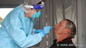 Truckies plead for COVID testing at Vic/SA border