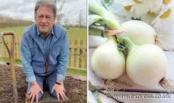 Gardening: Alan Titchmarsh shares trick for growing ‘healthy beautiful’ onions - Daily Express