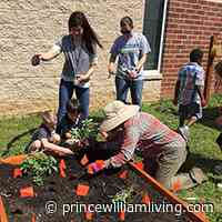 Virginia Cooperative Extension Master Gardener Horticulture Help Desk Available for Plant Questions - Prince William Living