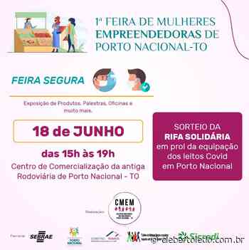 Sebrae é parceiro da 1ª Feira de Mulheres Empreendedoras de Porto Nacional - Cleber Toledo