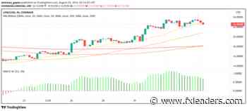 Good Time to Buy Chainlink (LINK)? Here's Why We Think So - FX Leaders