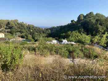 Gens du voyage sur un terrain en zone naturelle: la mairie de Cagnes-sur-Mer met la pression