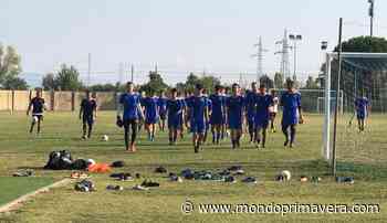 UFFICIALE - Pisa, Masetti è un nuovo giocatore dell'Ancona-Matelica - Mondoprimavera