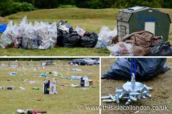 Epping Council agrees to crack down on issue of littering in borough