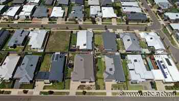 Calls for delay to laws allowing more holiday rentals