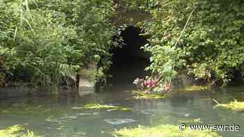 Drei Arbeiter in Giengen 300 Meter durch Abwasserkanal gespült - SWR